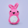 Bunnyko - Crochet Kit for Beginners